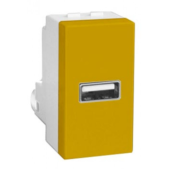 Módulo Entrada USB - RECTA MOSTARDA